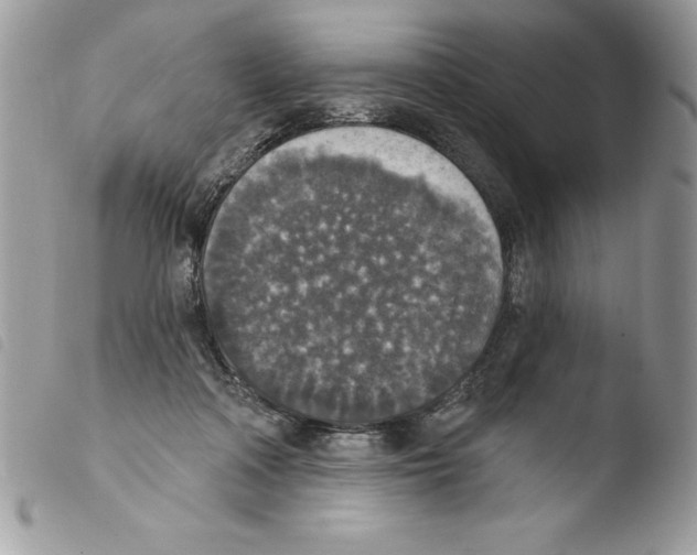 X0000103950314200810171845