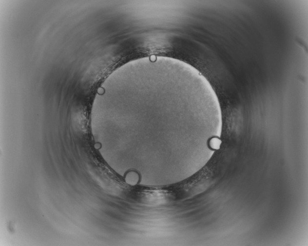 X0000103950316200810171845