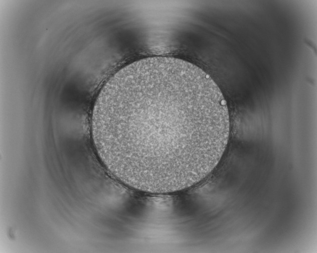 X0000103950317200810171845