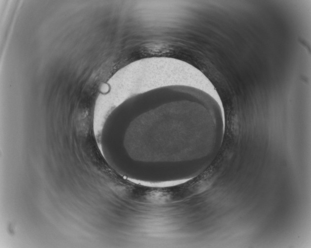 X0000103950319200810171845