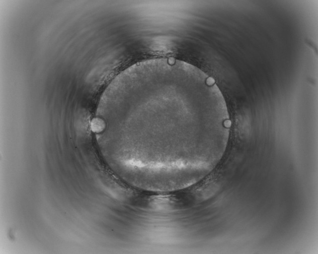 X0000103950320200810171845