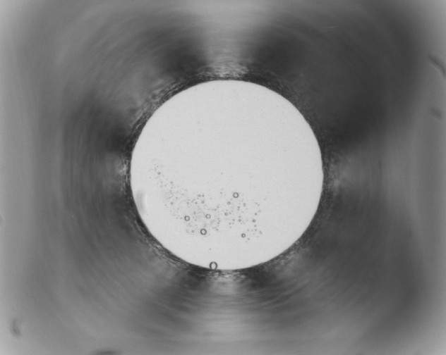 X0000103950321200810171845