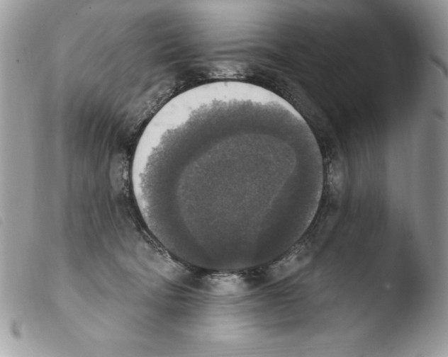X0000103950322200810171845