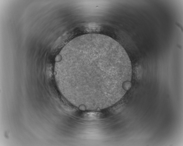 X0000103950323200810171845