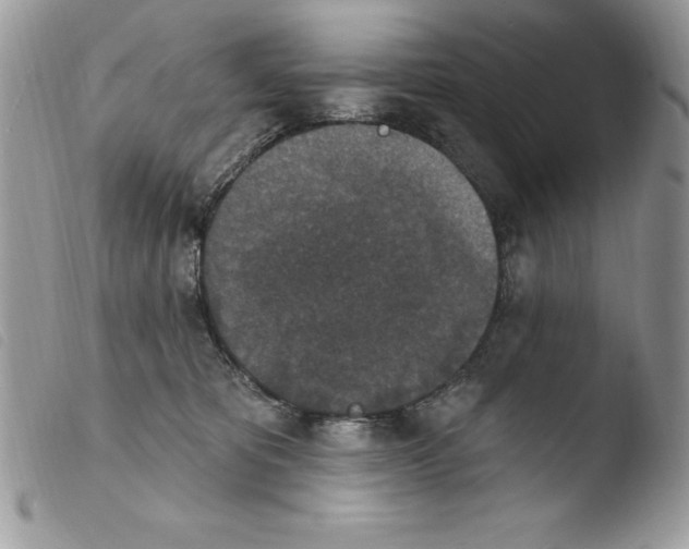 X0000103950325200810171845