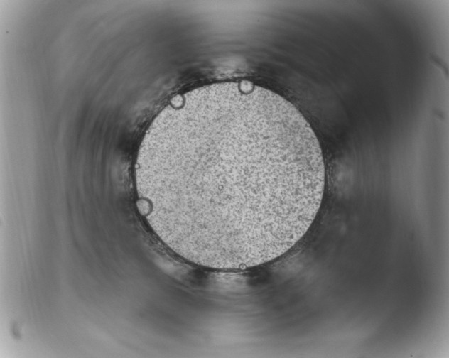X0000103950327200810171845
