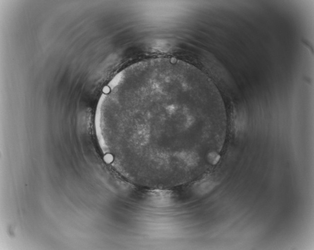 X0000103950328200810171845
