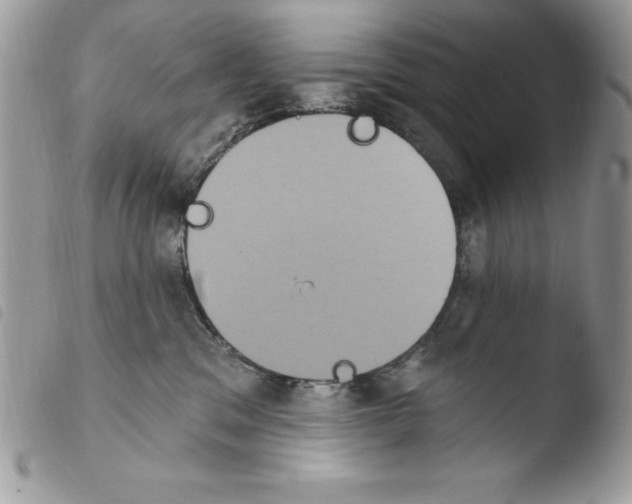 X0000103950329200810171844