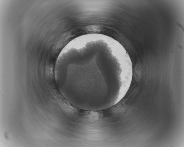 X0000103950330200810171844