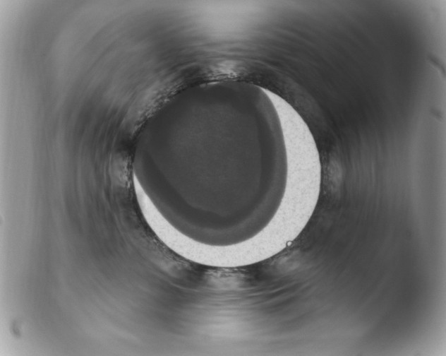 X0000103950331200810171844