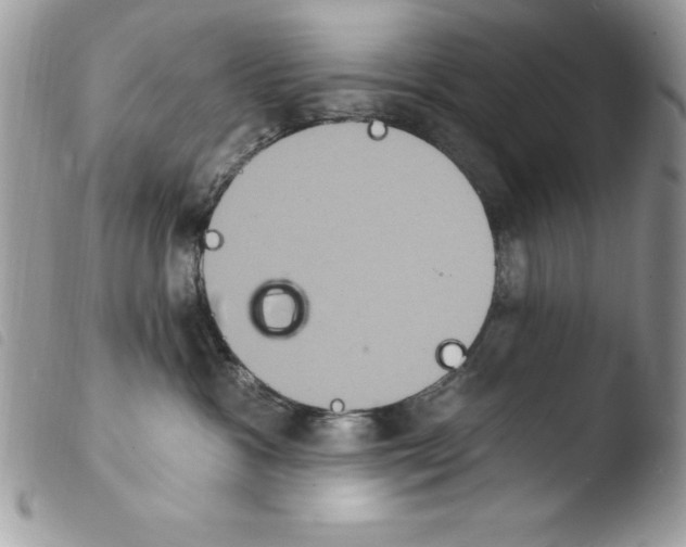 X0000103950333200810171844