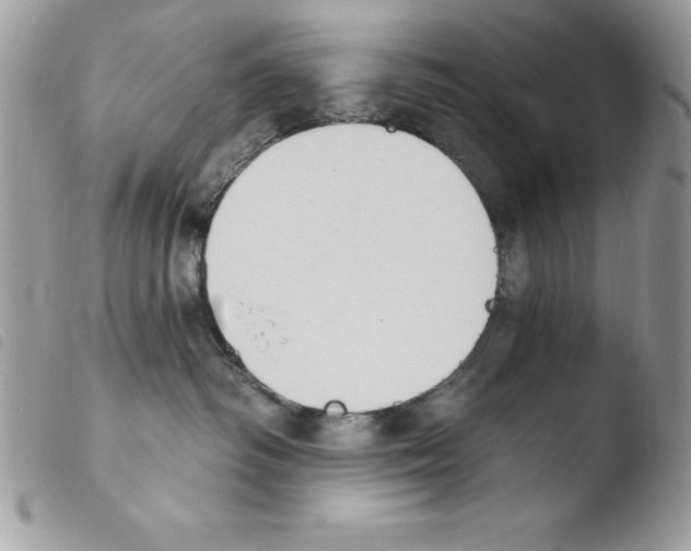X0000103950334200810171844