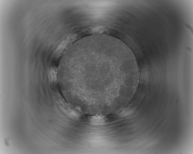 X0000103950335200810171844