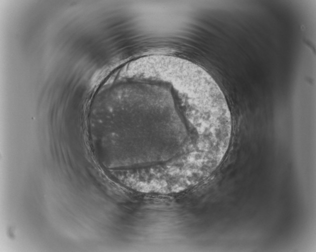 X0000103950337200810171844