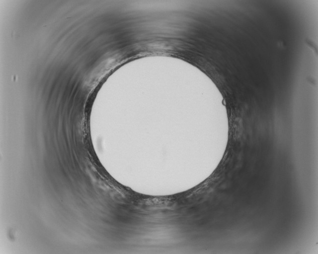 X0000103950338200810171844