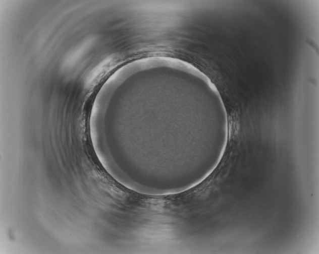 X0000103950339200810171844
