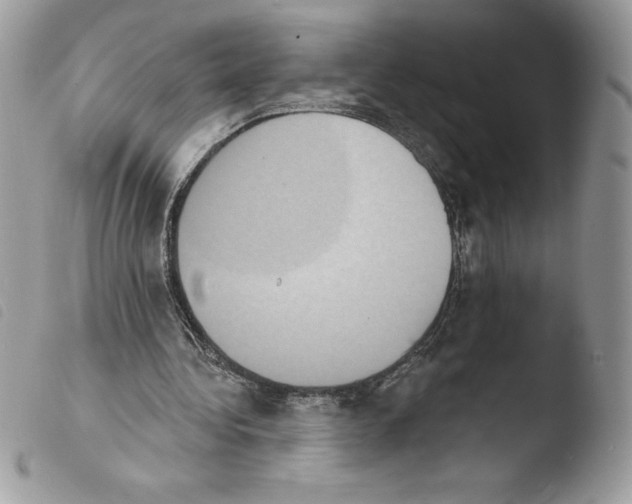 X0000103950340200810171844