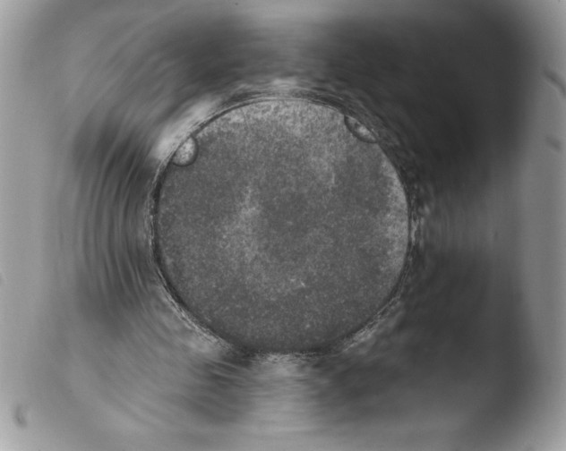 X0000103950341200810171844