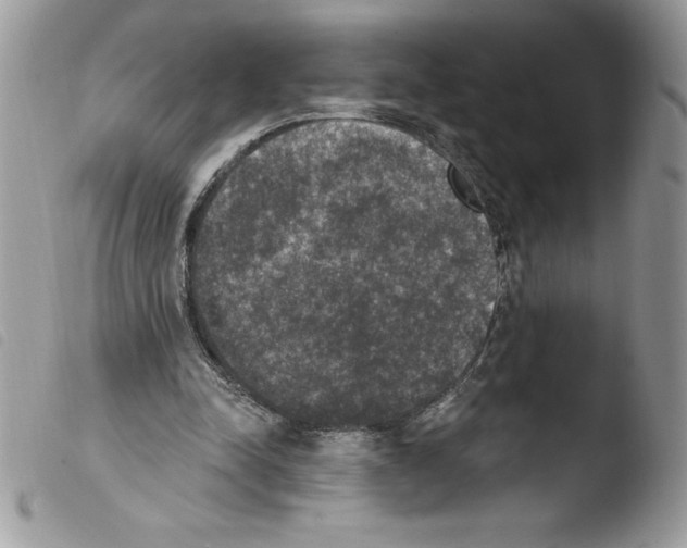 X0000103950342200810171844