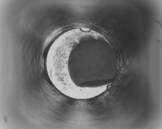 X0000103950343200810171844
