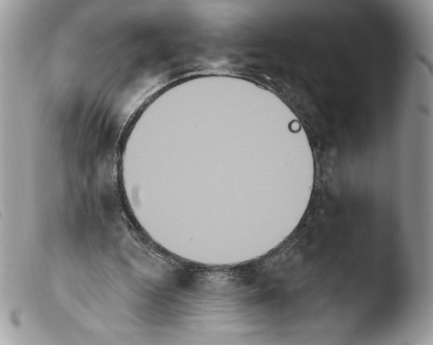 X0000103950344200810171844