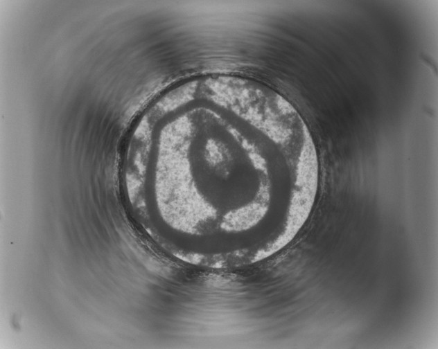 X0000103950346200810171844