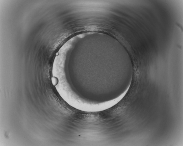 X0000103950347200810171844