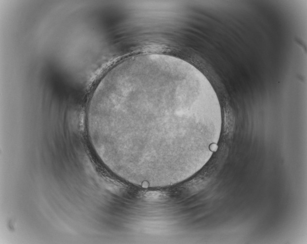 X0000103950348200810171844