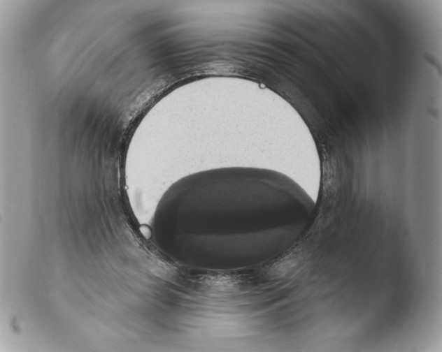 X0000103950349200810171844