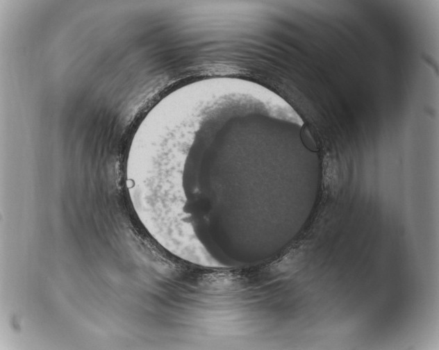 X0000103950351200810171844