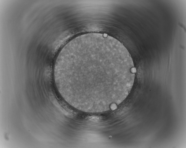 X0000103950352200810171844