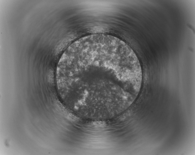 X0000103950353200810171844