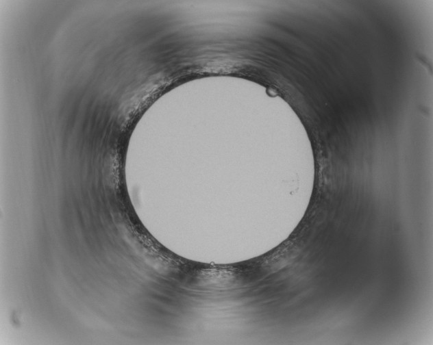 X0000103950354200810171844