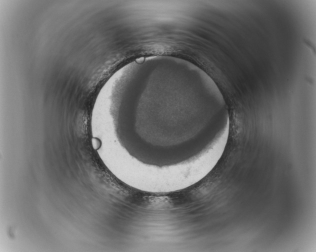 X0000103950355200810171844