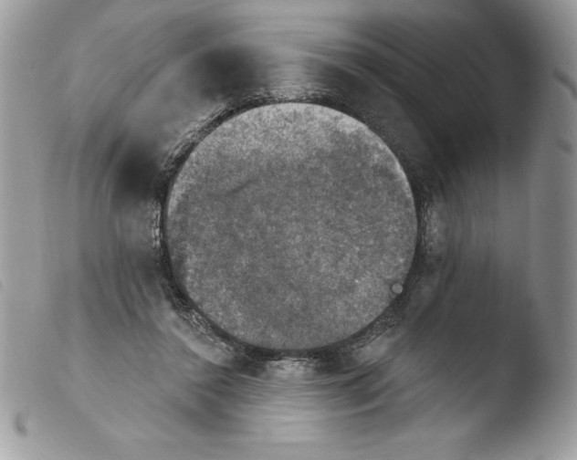X0000103950356200810171844