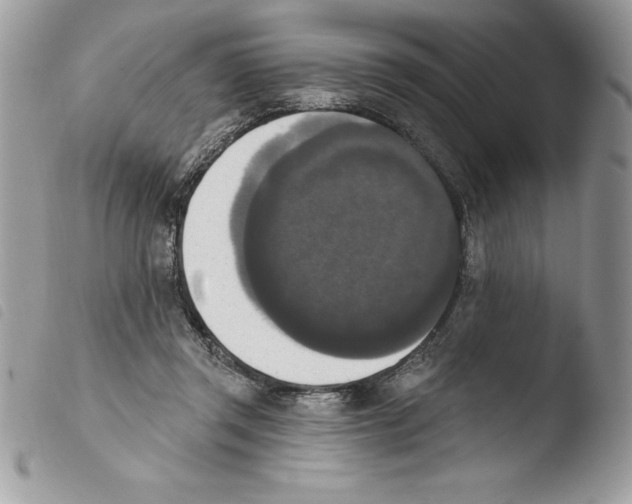 X0000103950357200810171844