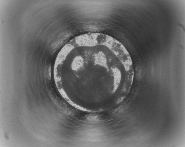 X0000103950358200810171844