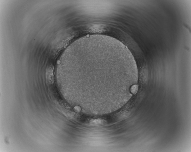 X0000103950360200810171844