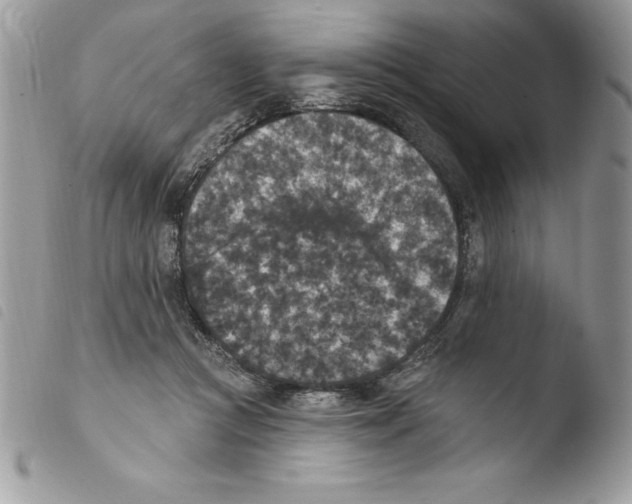X0000103950361200810171844