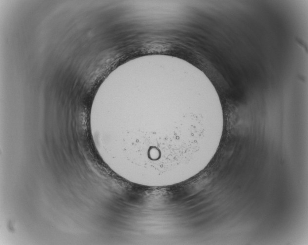 X0000103950362200810171844