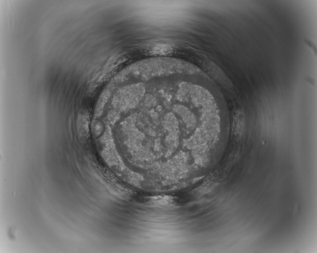 X0000103950363200810171844