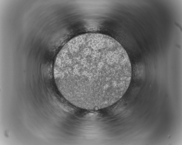 X0000103950364200810171844