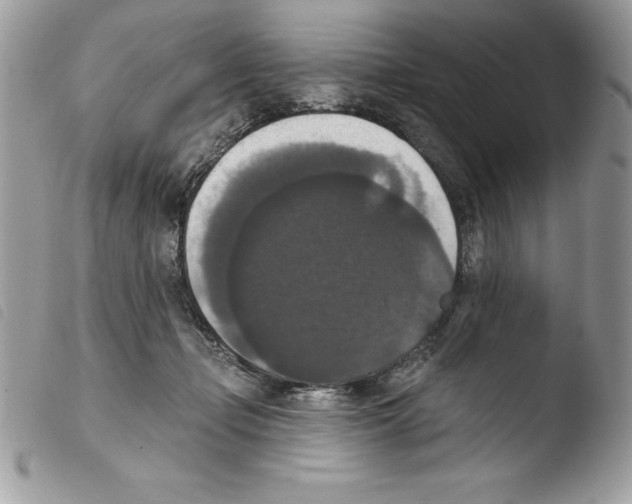 X0000103950365200810171844