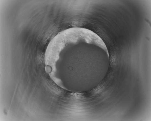 X0000103950367200810171844