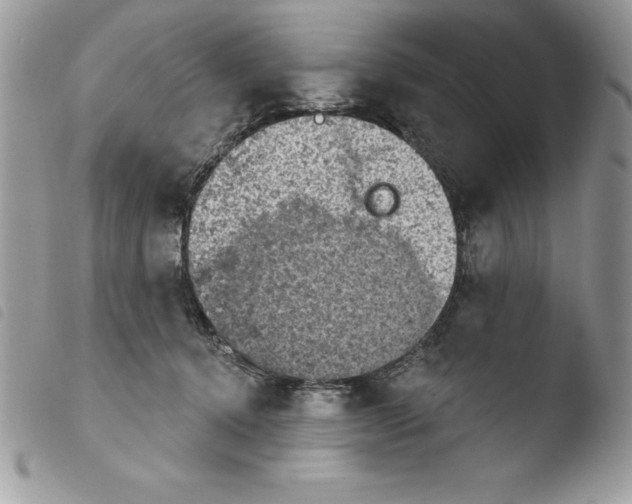 X0000103950368200810171844