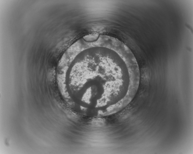 X0000103950369200810171844