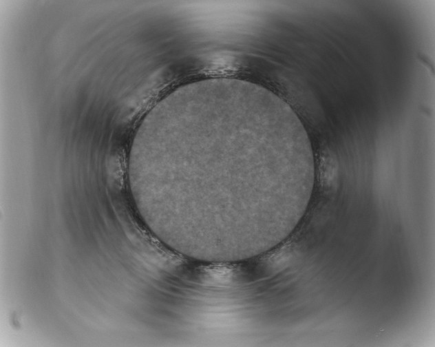 X0000103950370200810171844