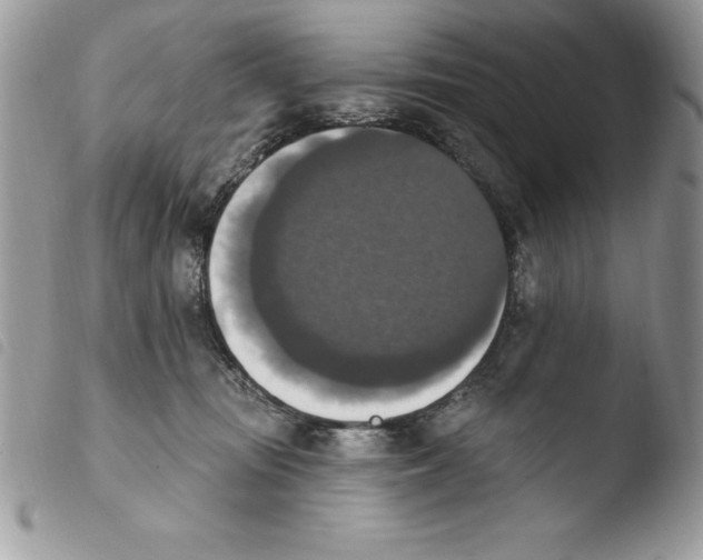 X0000103950371200810171844