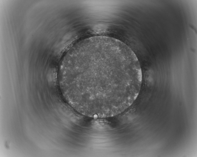 X0000103950372200810171844