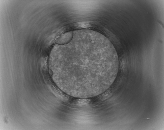 X0000103950373200810171844